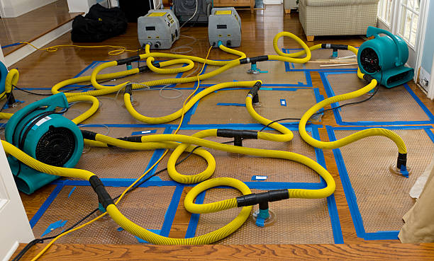 Professional Burst Pipe Water Damage technician working in Ellendale, ND